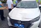 国产无马,引领绿色出行新潮流